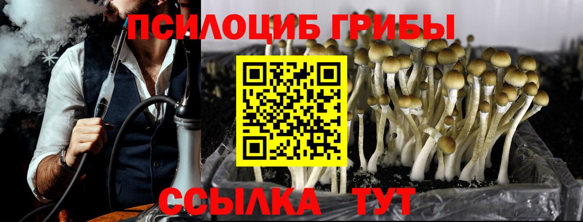COCAIN Новотроицк