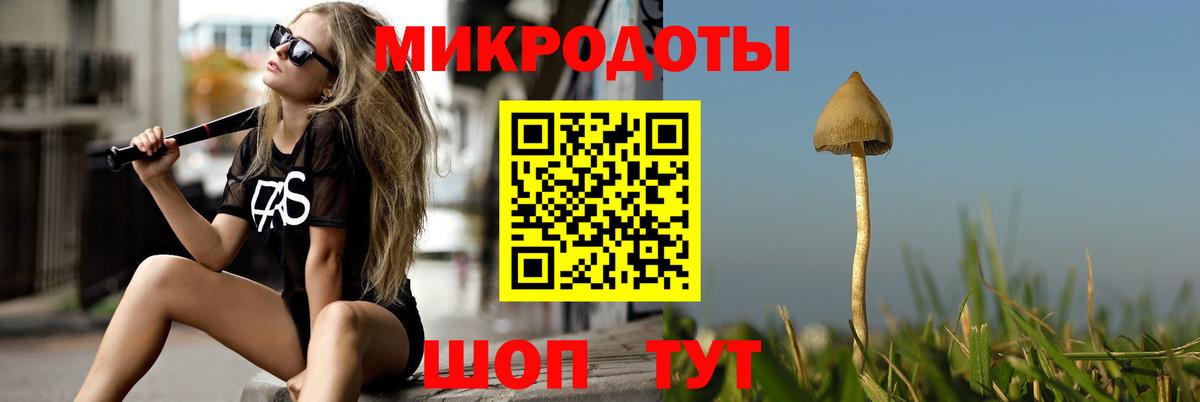 Новотроицк  Галлюциногенные грибы мицелий  Вход с VPN 